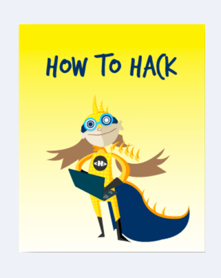 how to hack - a users guide